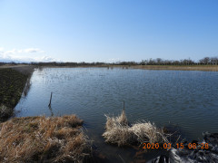 DSCN2370.JPG