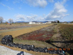 DSCN2372.JPG