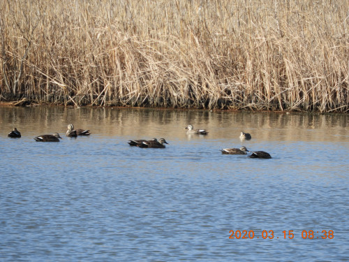DSCN2380.JPG