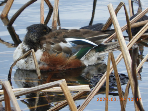 DSCN2388.JPG