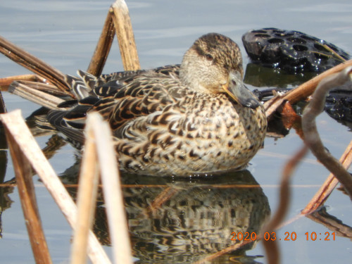 DSCN2395.JPG
