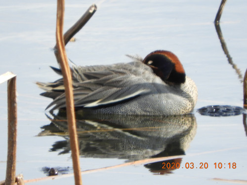 DSCN2394.JPG