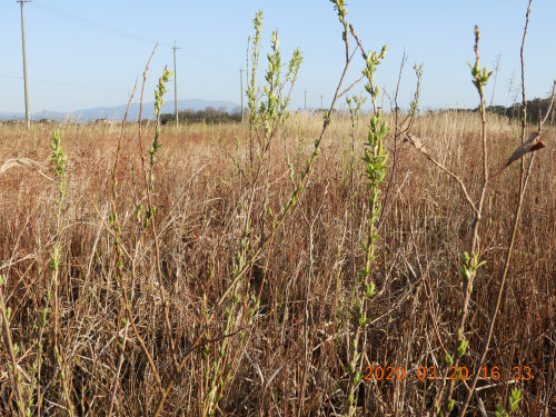 DSCN2401.JPG