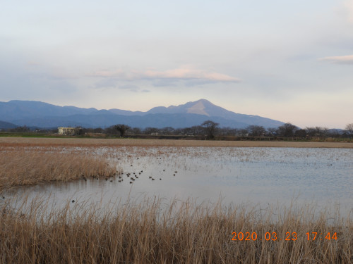 DSCN2478.JPG