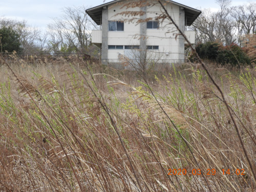 DSCN2508.JPG