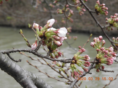 DSCN2660.JPG