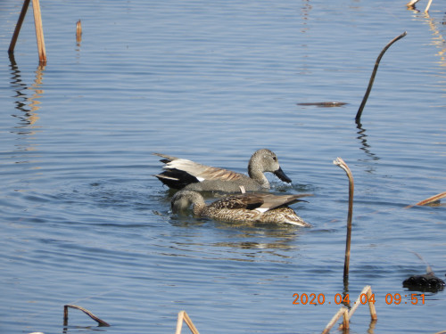 DSCN2736.JPG