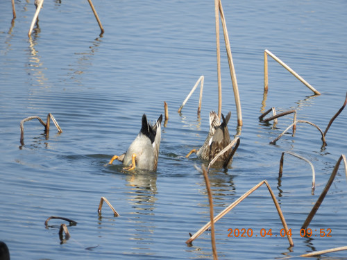 DSCN2738.JPG