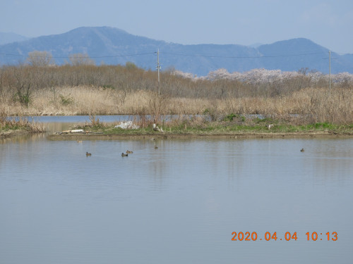 DSCN2748.JPG