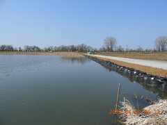 DSCN2729.JPG