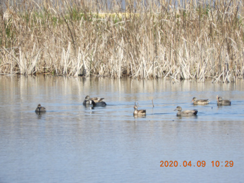 DSCN8864.JPG