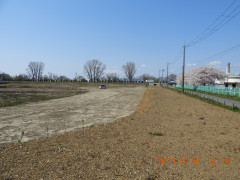 DSCN8856.JPG