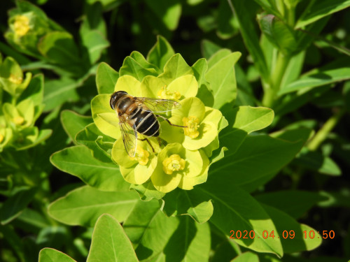 DSCN8888.JPG