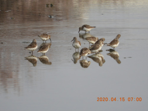 DSCN8931.JPG