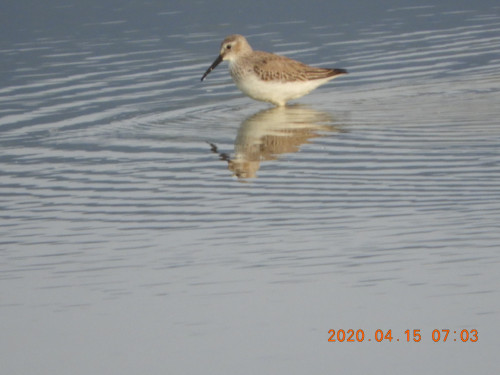 DSCN8943.JPG