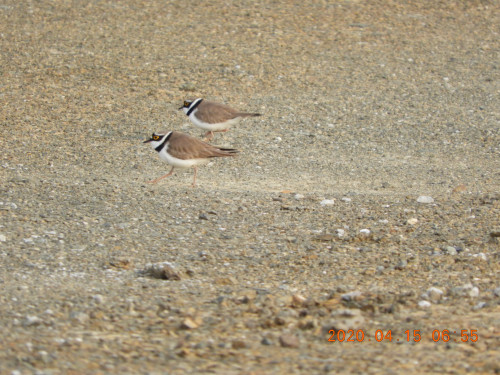 DSCN8920.JPG