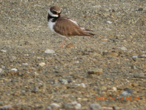 DSCN8919.JPG