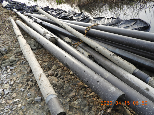 DSCN8930.JPG