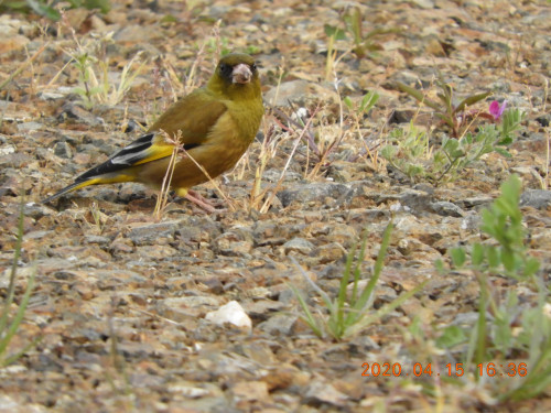 DSCN8966.JPG