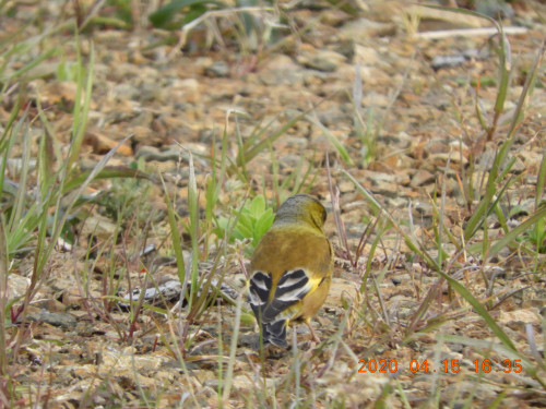 DSCN8961.JPG