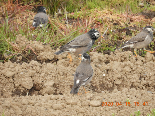 DSCN8975.JPG