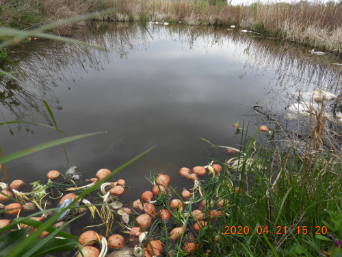 DSCN8999.JPG