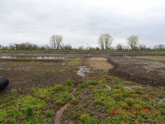 DSCN8991.JPG