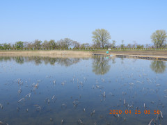 DSCN9021.JPG