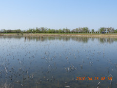 DSCN9022.JPG