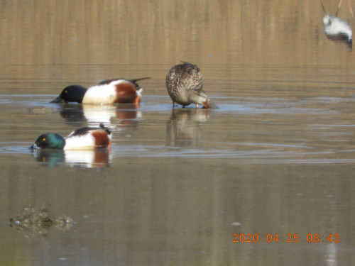 DSCN9008.JPG
