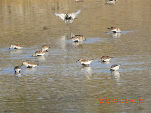 DSCN9077.JPG