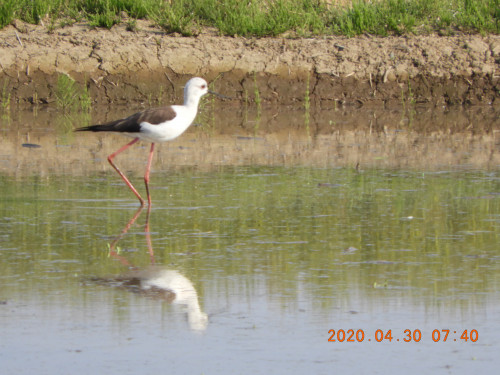 DSCN9099.JPG