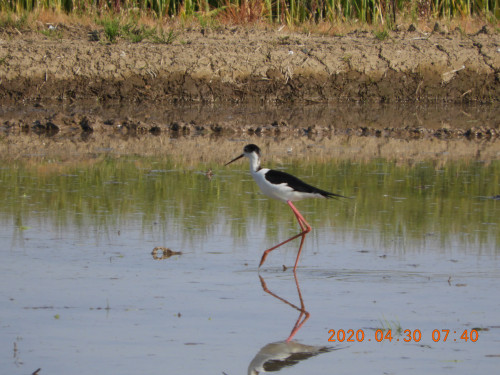 DSCN9096.JPG