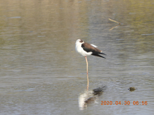 DSCN9072.JPG