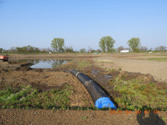 DSCN9081.JPG