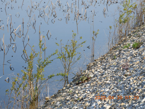 DSCN9090.JPG