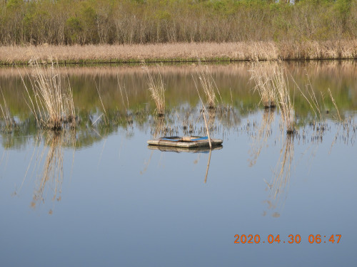 DSCN9065.JPG