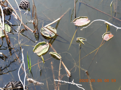 DSCN9331.JPG