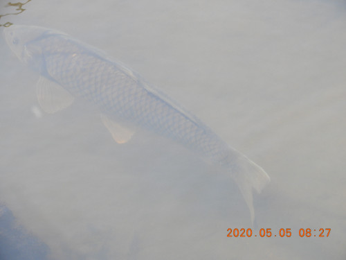 DSCN9316.JPG