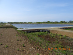 DSCN9318.JPG