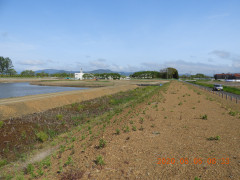 DSCN9320.JPG
