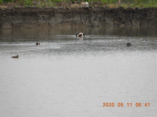 DSCN9341.JPG