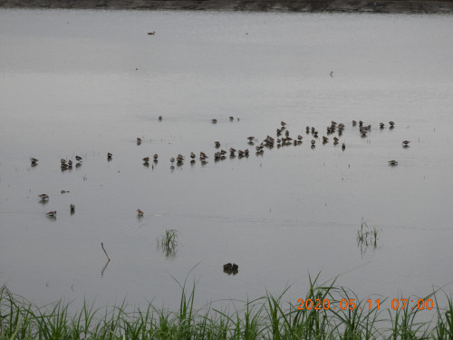 DSCN9357.JPG