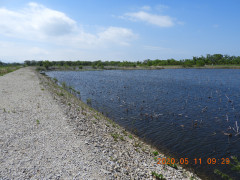 DSCN9365.JPG