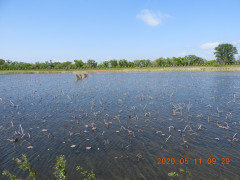 DSCN9366.JPG