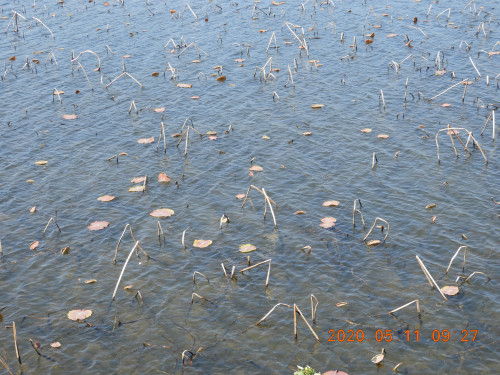 DSCN9361.JPG