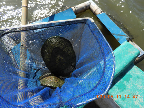 DSCN9370.JPG
