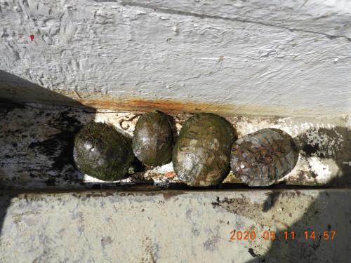 DSCN9379.JPG