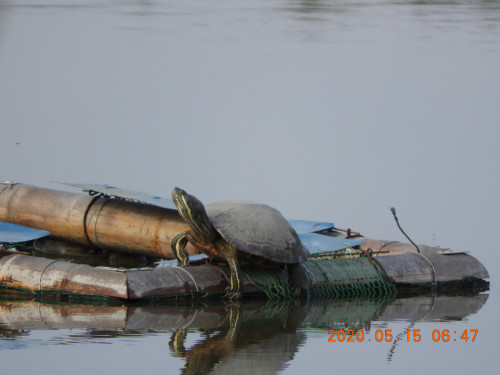 DSCN9418.JPG