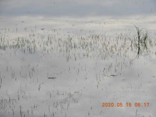 DSCN9386.JPG
